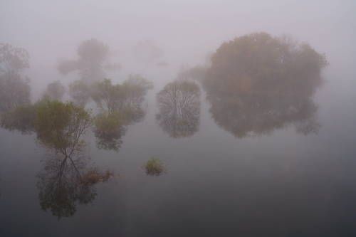 Fog covered lake