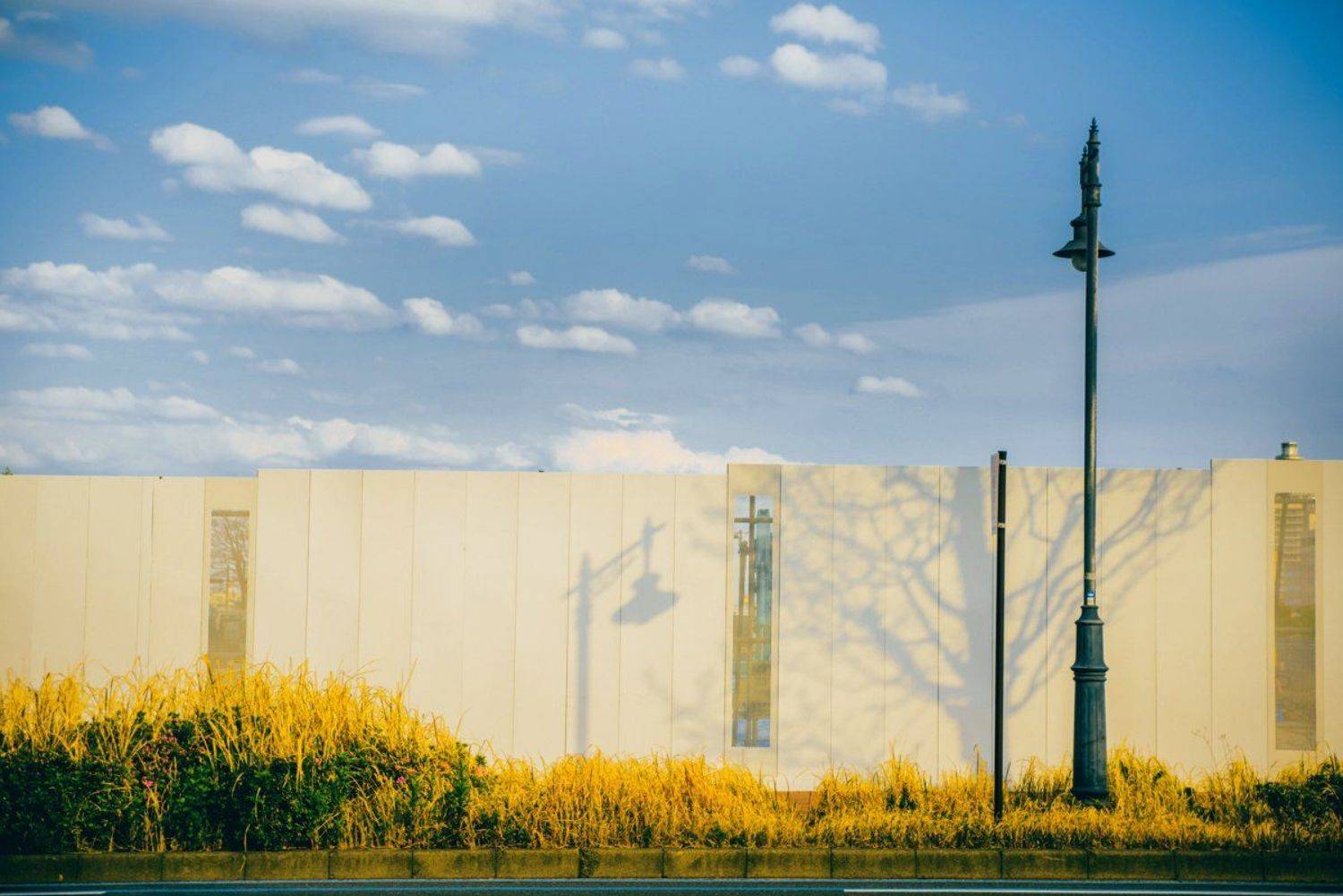 sky shadow tree road, taliana