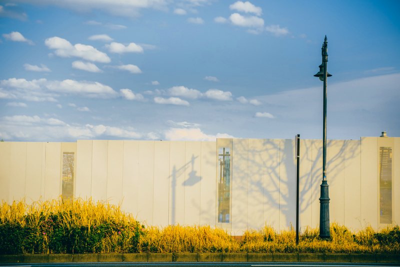 sky shadow tree road 影踏みphoto preview