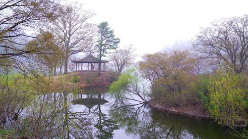 Springtime scenery