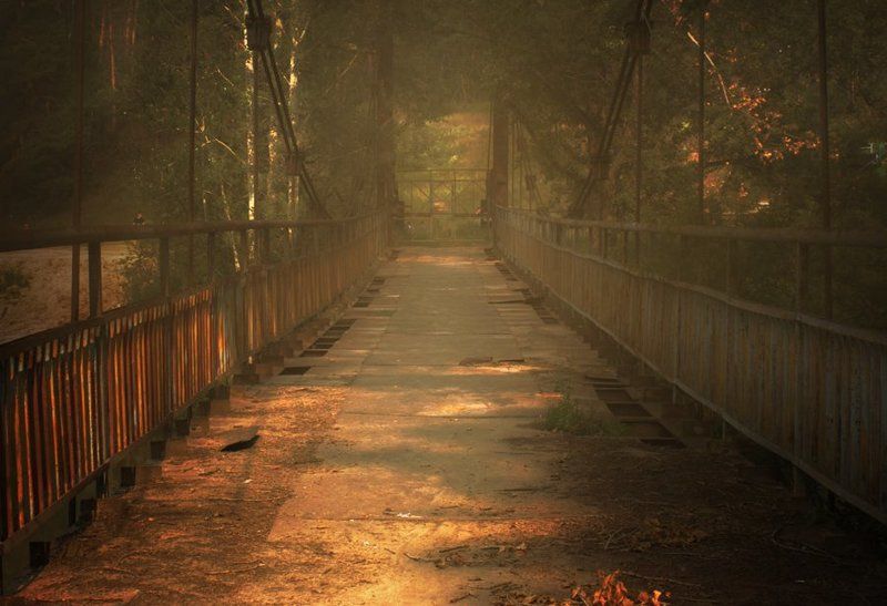 Мостphoto preview