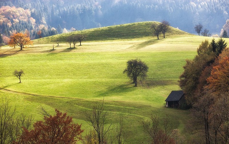 Про сарайчик в тенечкеphoto preview