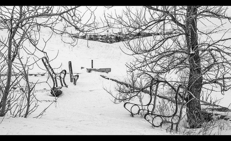 Forgottenphoto preview