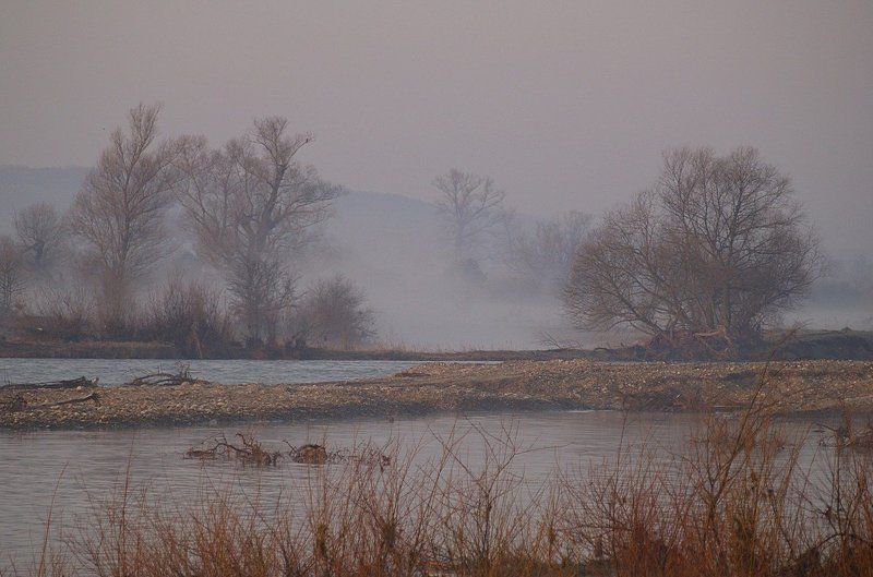 утро, весна, , туман \