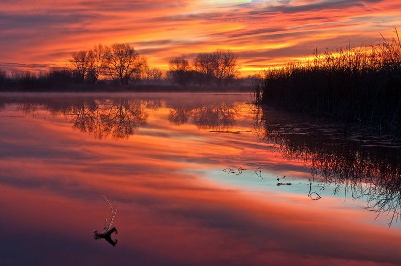 Расплавленное золото рассвета...photo preview