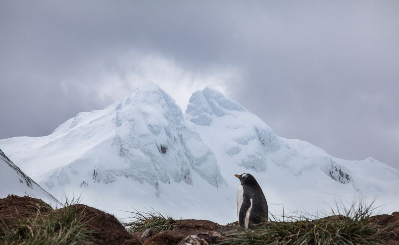 South Georgia