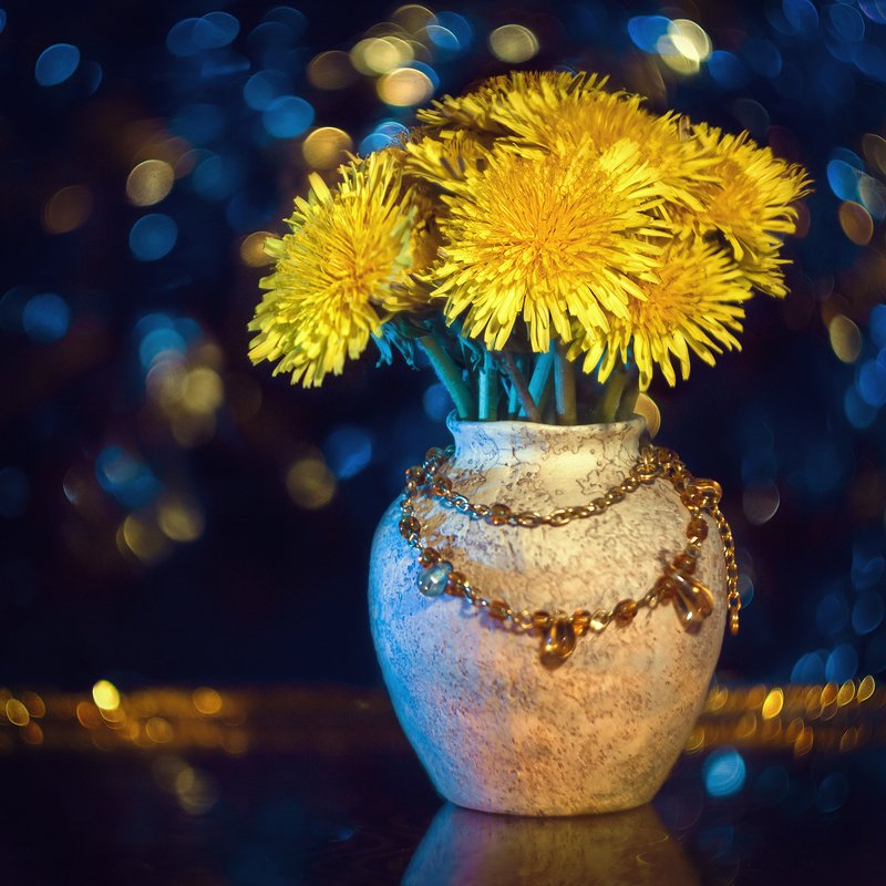 helios-44m-6, manual lens, мануальная оптика, beautiful, красивый, moment, момент, spring, весна, весенний, still life, натюрморт, dandelion, одуванчик, bouquet, букет, bokeh, боке, magical, волшебное, night, ночь, Немножко бокешечного минимализма :)photo preview