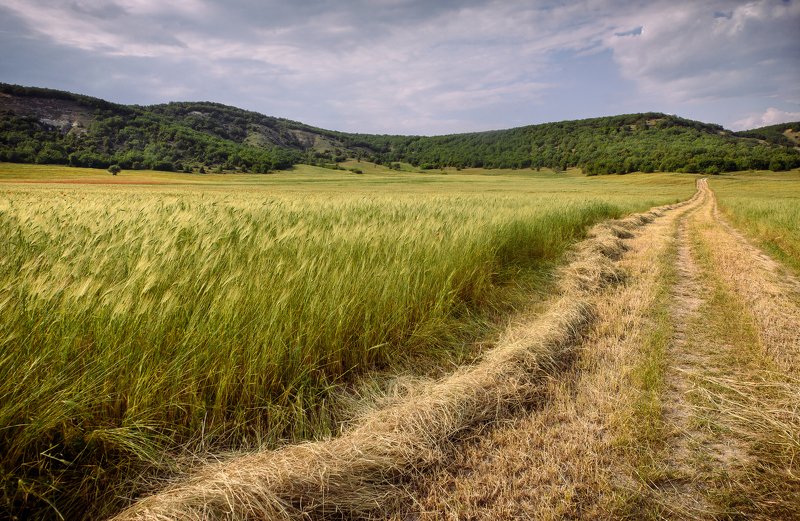 Серия Крымphoto preview