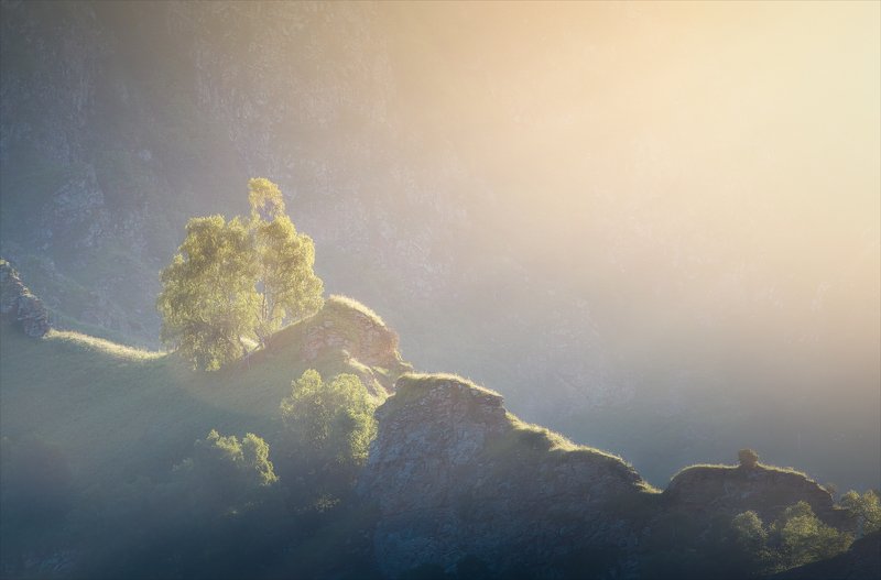 Солнечный душ.photo preview