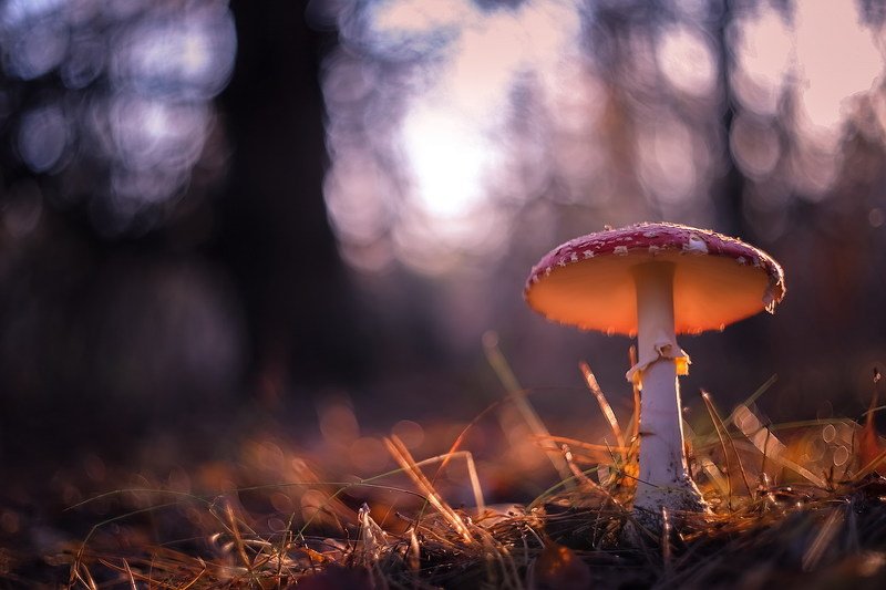 Торшерчикphoto preview