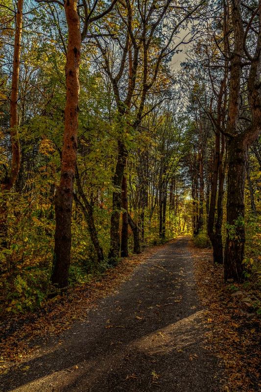 вечерний променадphoto preview