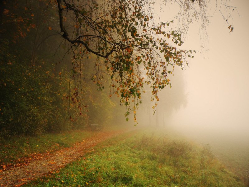 тропинка в туманphoto preview