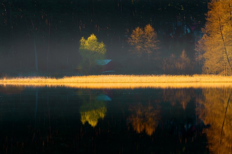 Poranne mgiełkiphoto preview