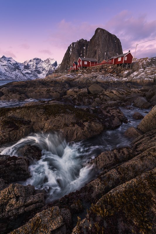 Red Rorbuerphoto preview