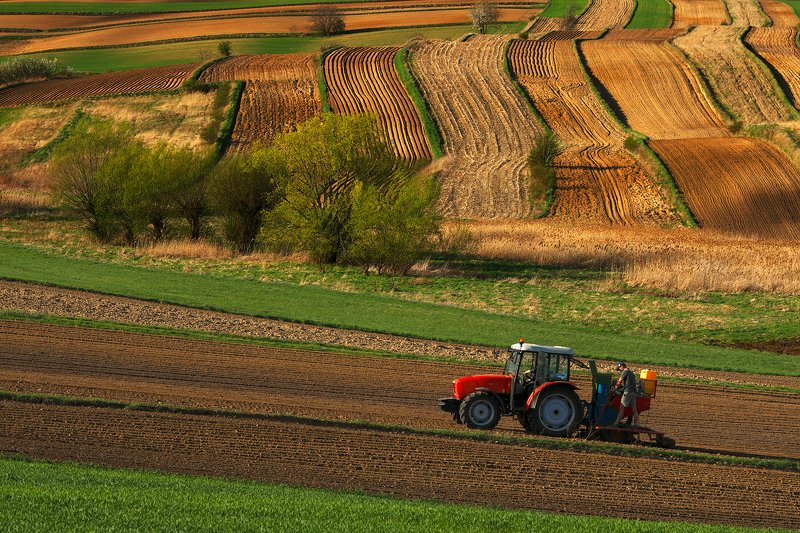 field, village, agriculture, work, man, sunset, spring, light Agricultural springphoto preview
