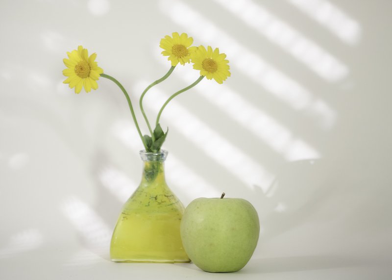 yellow,daisy,stilllife,highkey,flowers yellow daisys.photo preview