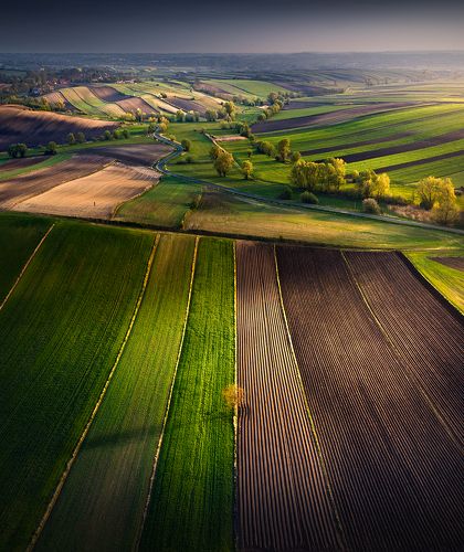 Green fields