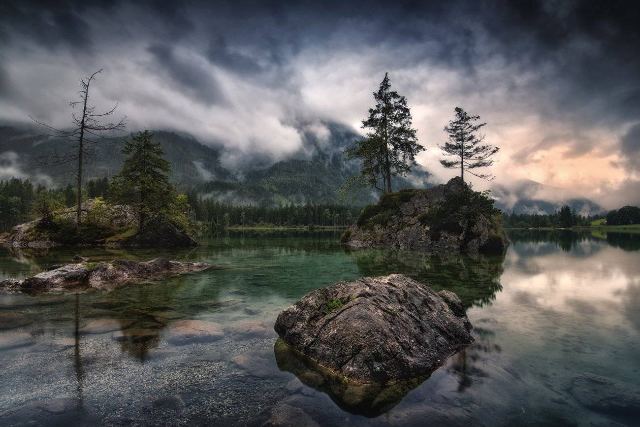 RAINY MORNING. Автор: Adam Pachula , Adam Pachula