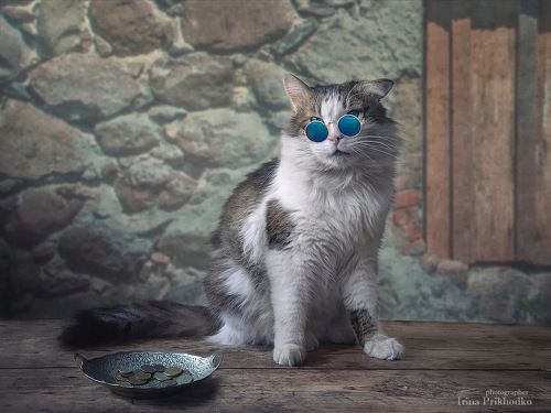 Профессиональный нищий