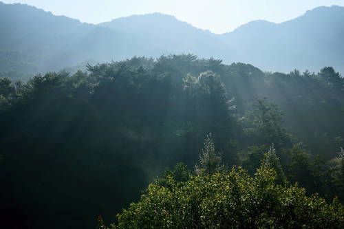 Sunlight beam