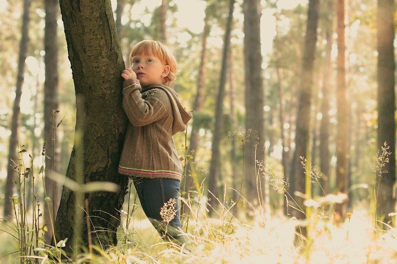 В ожидании холодовphoto preview