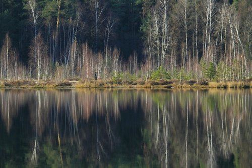 осенняя кардиограмма