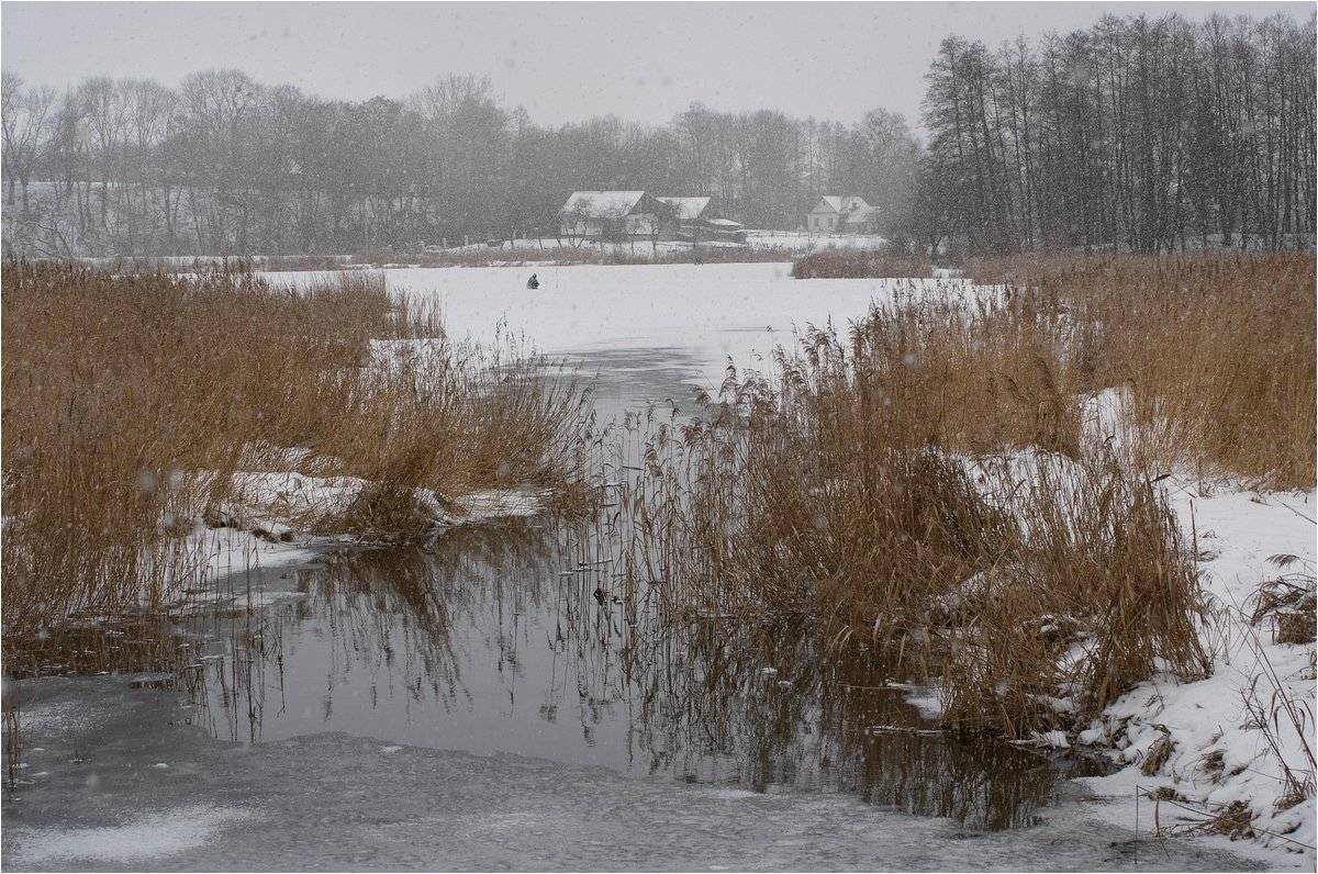 *****. Автор: Николай Шахманцир , Николай Шахманцир
