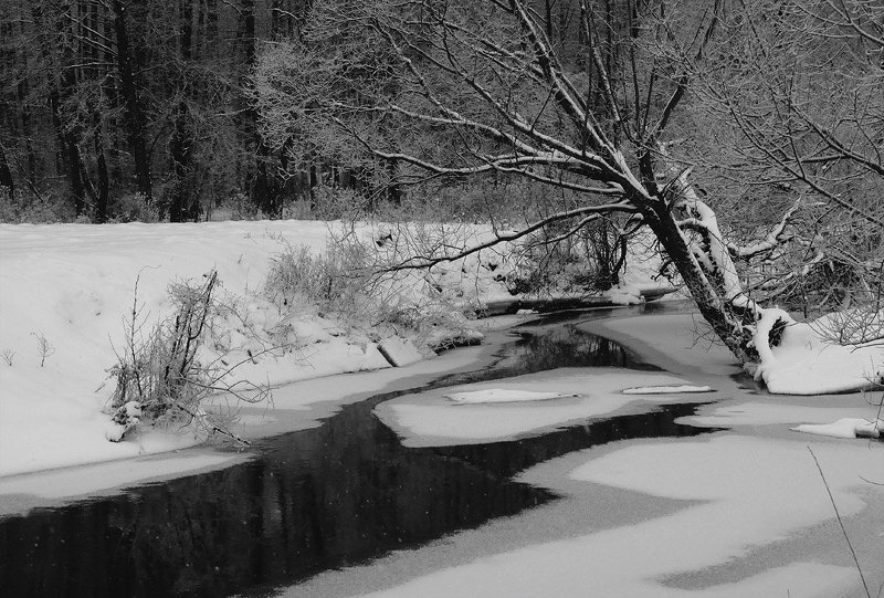 Анабиозphoto preview