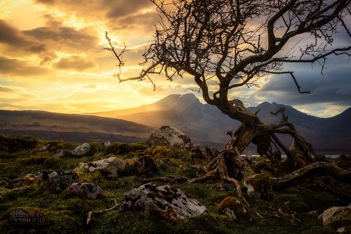 Moods of Scotland