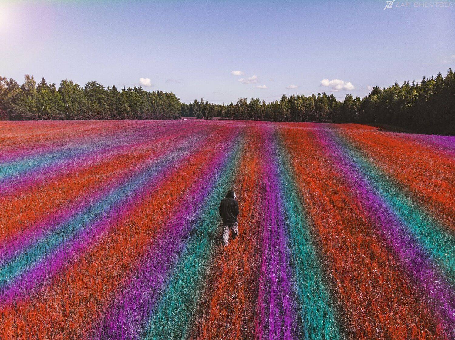 Ночь,профессиональное,черное,черно-белое,необычное,креативное,Яркое,интересное,идея для фото,фотосет,мобильное,мобильная,абстракция,обложка,Сергей Шевцов,странное,идейное,концептуальная фотография, Sergey Shevtsov