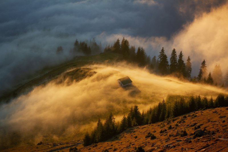 trees, landscape, travel, nature, mountain, romania, cold, sunset, autumn, fog Golden Sunsetphoto preview