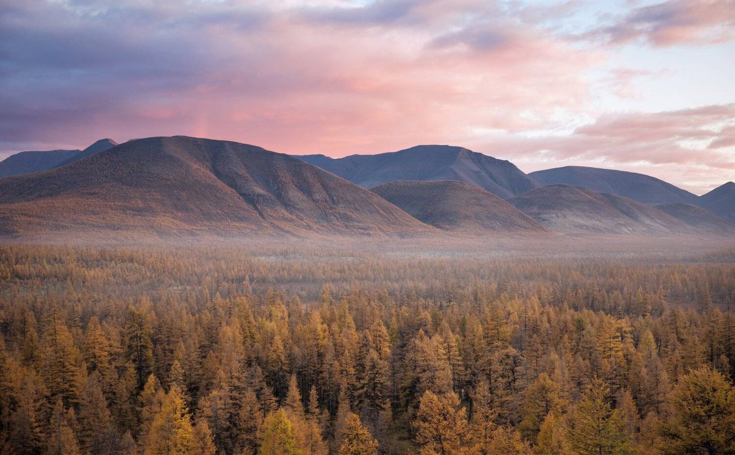, Павел Глушков