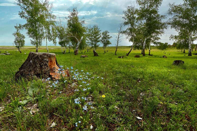 южный урал,оренбургская область, орск, новотроицк, Весна на Южном Уралеphoto preview