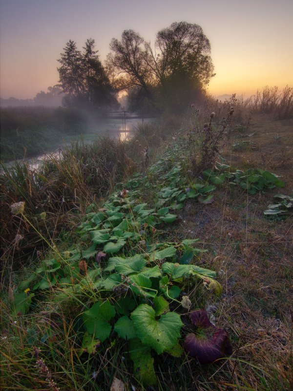 река, пейзаж, туман, утро, рассвет, river, landscape, fog, morning, dawn Рассвет на берегу рекиphoto preview