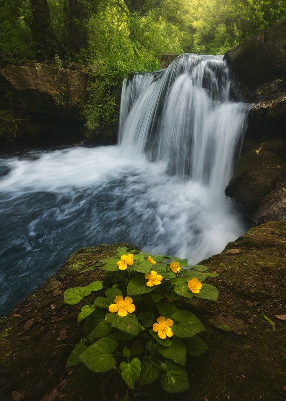 #landscape #mountains #italy #forest #waterfall \