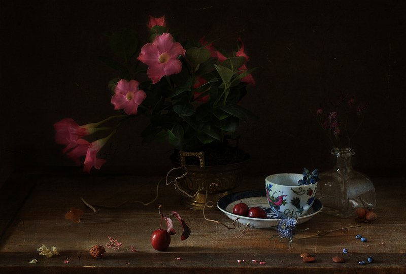 натюрморт .. про цветок в горшке ..photo preview