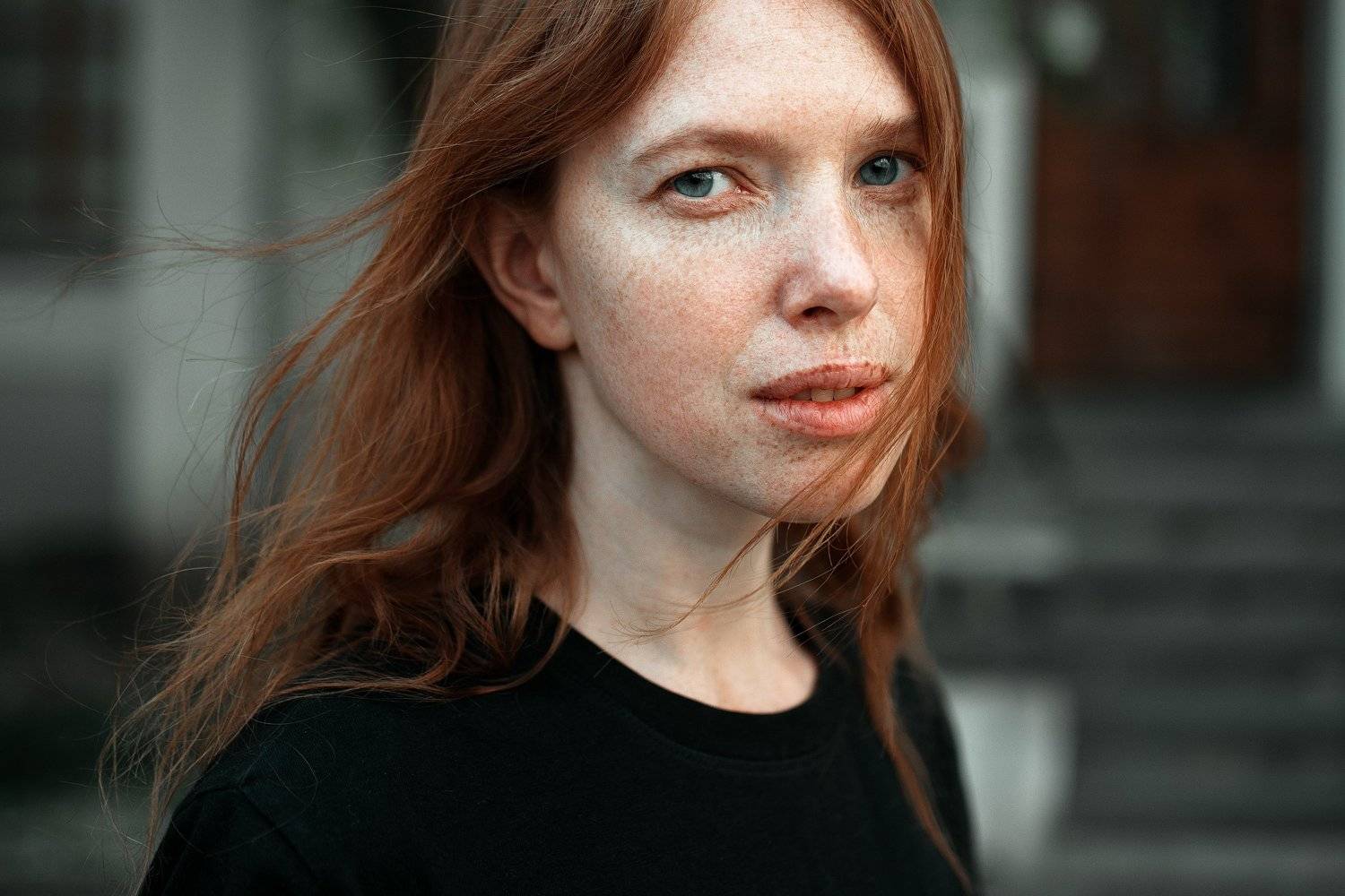 Автор: Портнов Павел , Портнов Павел