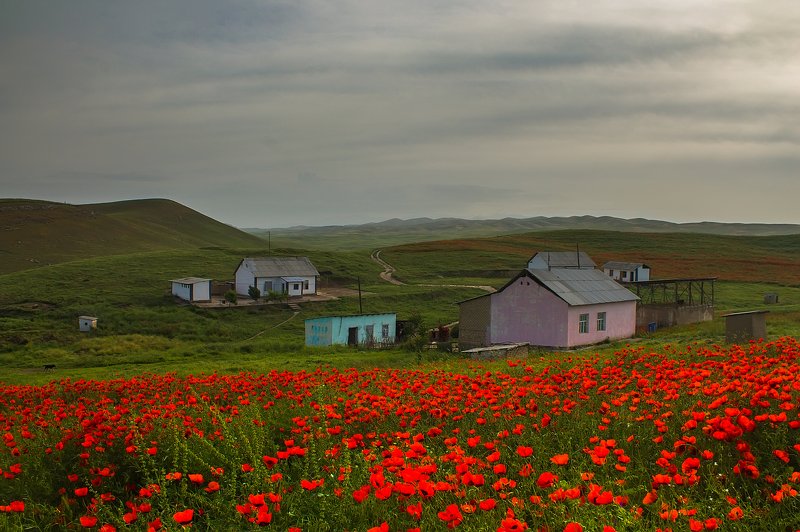 Балгалы 2020photo preview