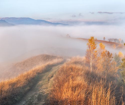 Закарпатье