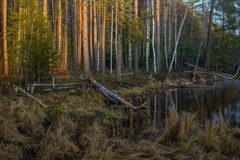 вечер апрель суходол вода закат В закатных лучахphoto preview