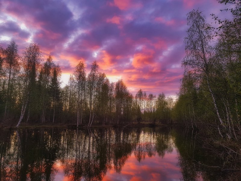 Майский вечерphoto preview