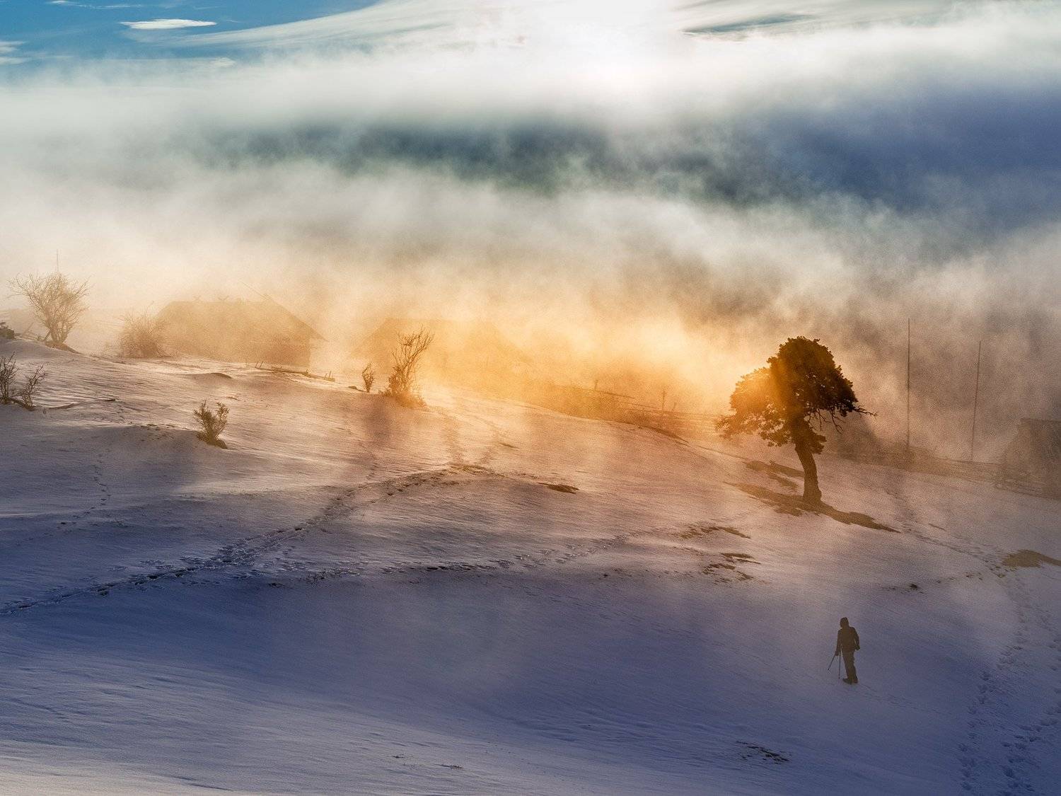 , Светлана Михалкова