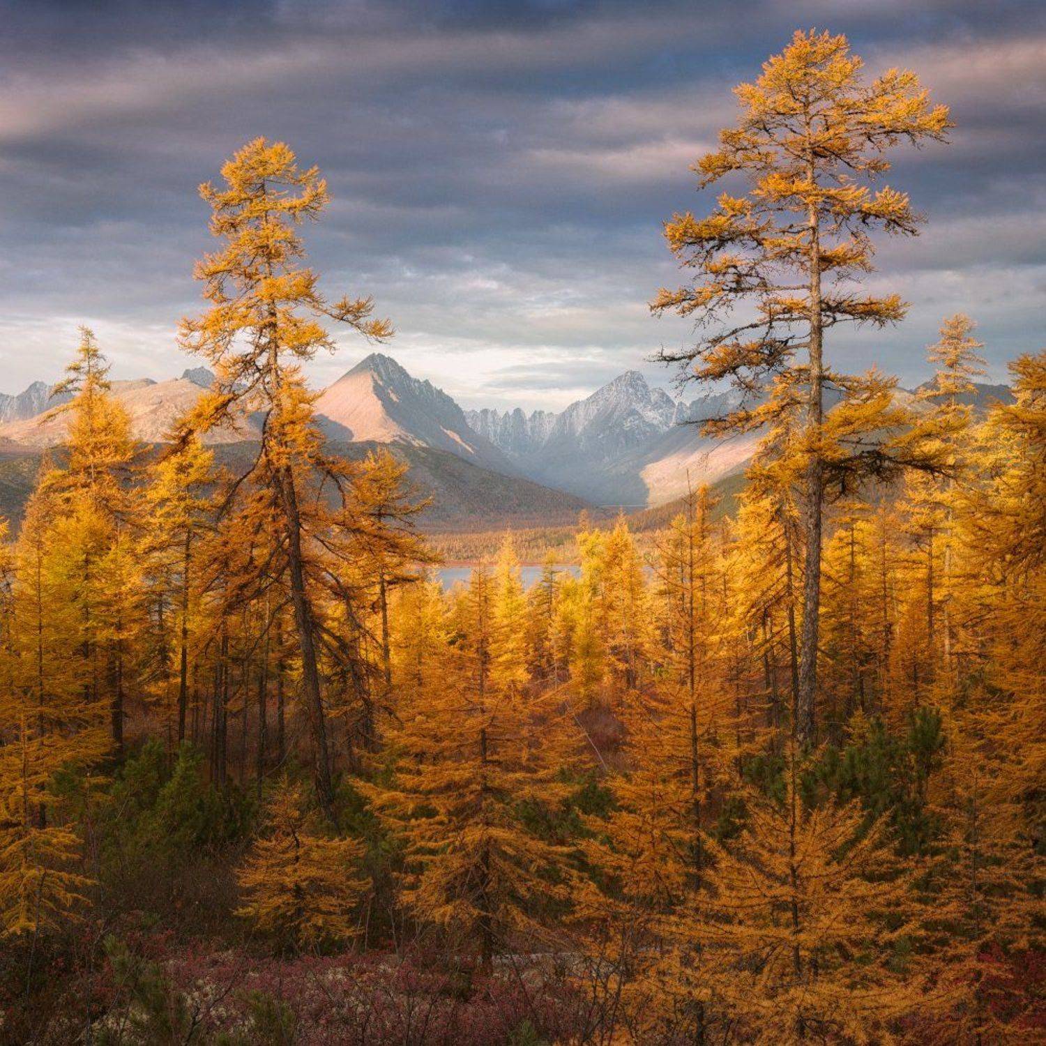 осень, колыма, озеро, горы, Дмитрий Медянцев
