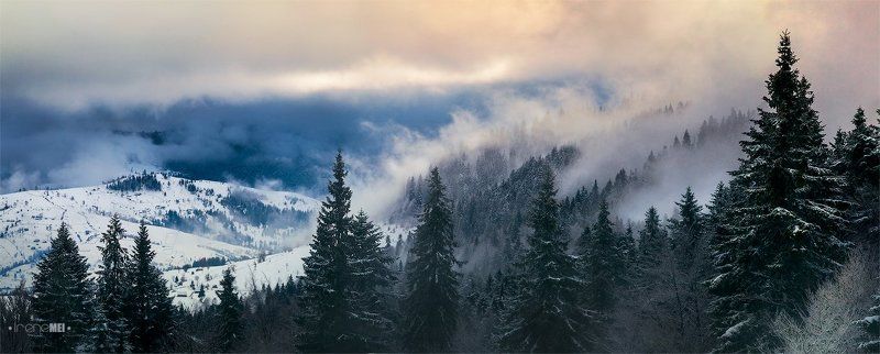 Зимние Карпатыphoto preview