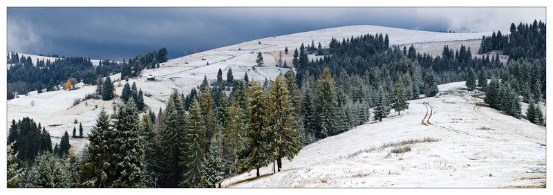 карпаты, горы, утро, снег ПЕРВОЕ УТРО ПЕРВОГО СНЕГА. ЧАСТЬ 3.photo preview