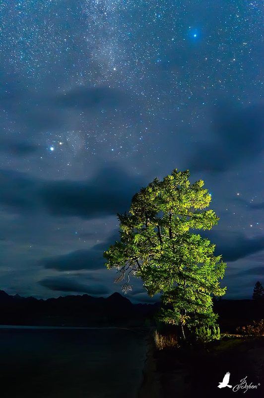 Неспящие в тишиphoto preview