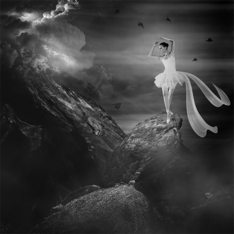 freedom ...photo preview