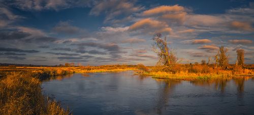 Тихий ноябрь