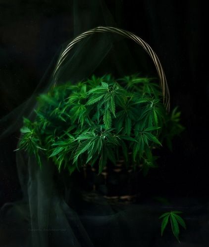 букет для друга*