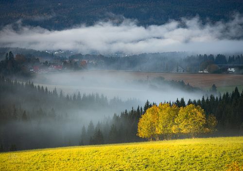 Foggy land